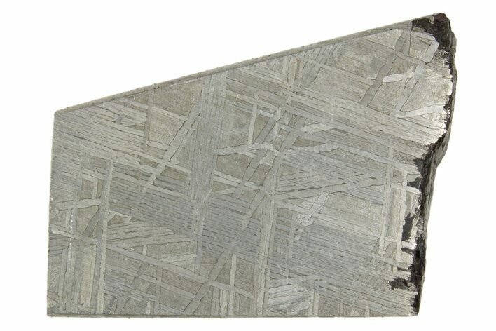Etched Muonionalusta Meteorite Slice ( g) - Sweden #320306